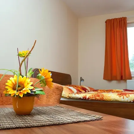 Guest house Max 3*