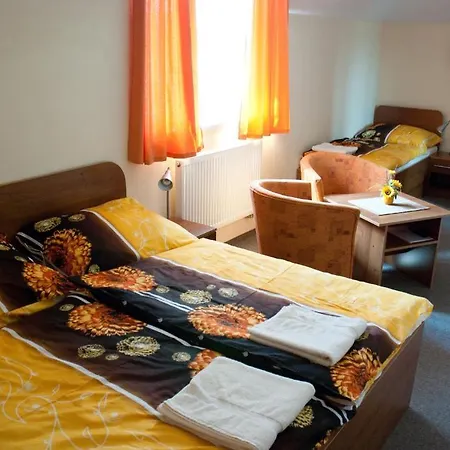 Guest house Max 3*